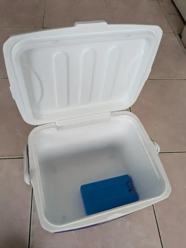 Ice box 15Litter