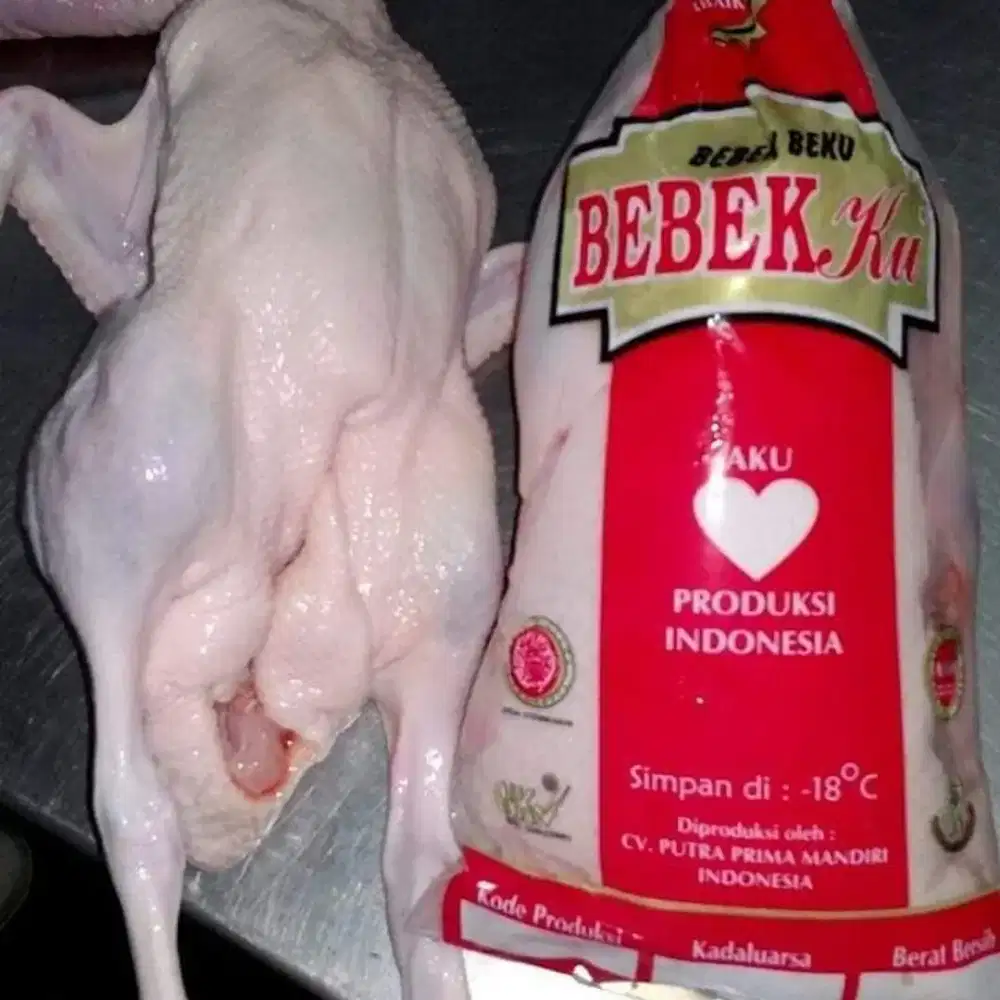 Bebek peking bebekku 1,40 - 1,49