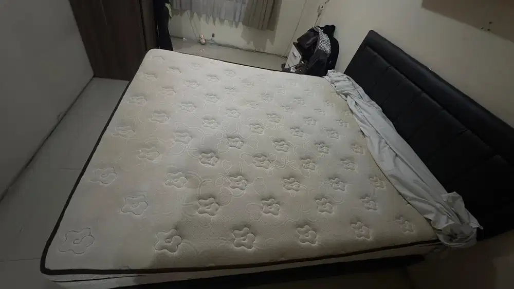 Kasur piere cardin