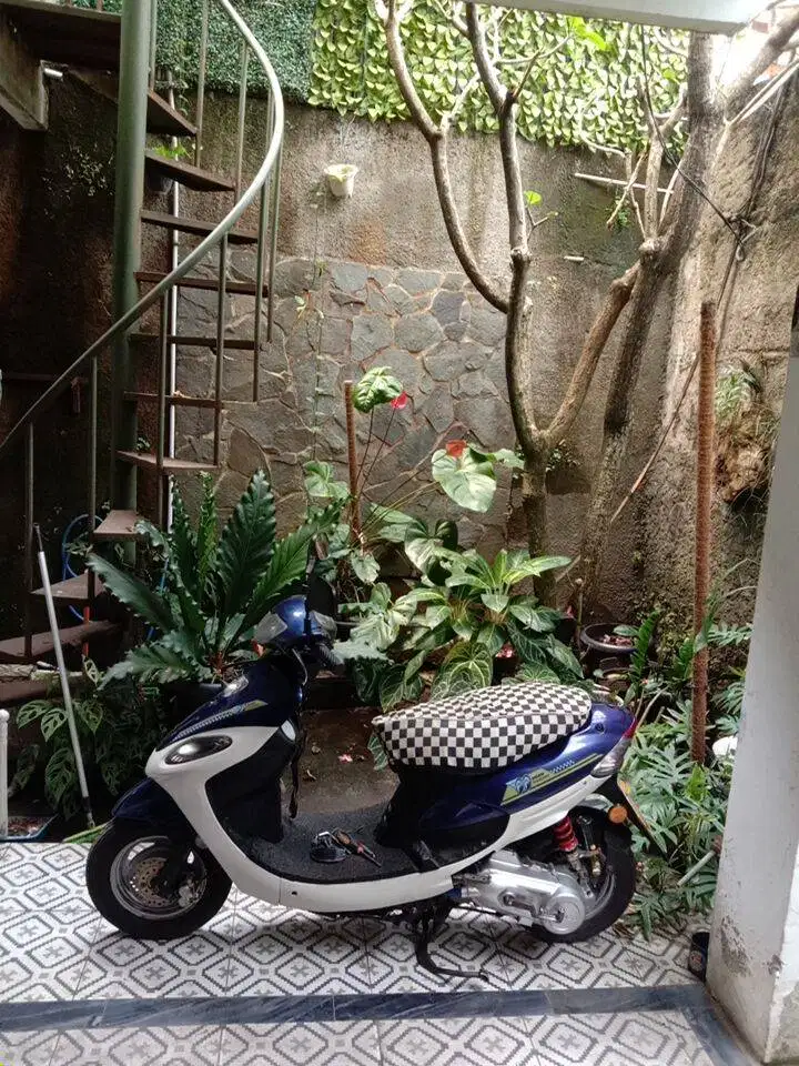 Kymco easy 100 kalcer