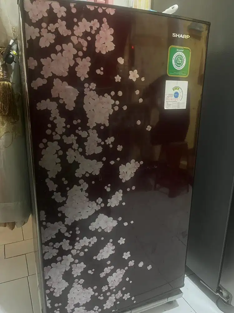 Kulkas Sharp satu pintu dingin