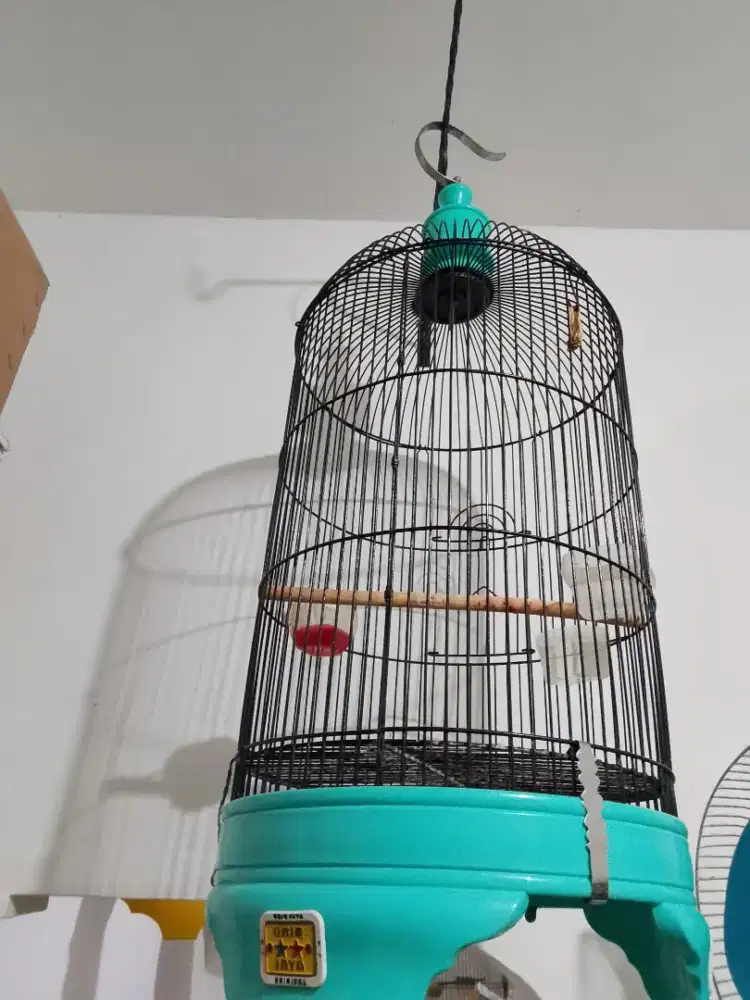 Kandang burung love bird tinggi merk oric