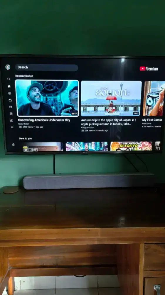 LG SMART TV OLED 42 INCH (display rusak)