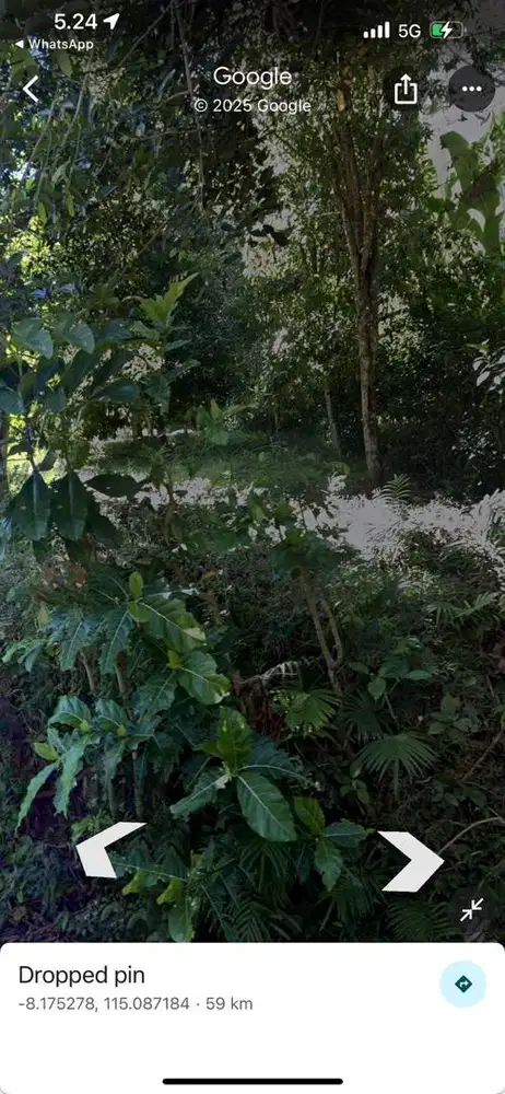 DIJUAL TANAH PANJI ANOM SINGARAJA 10 ARE 500 JUTA NETT