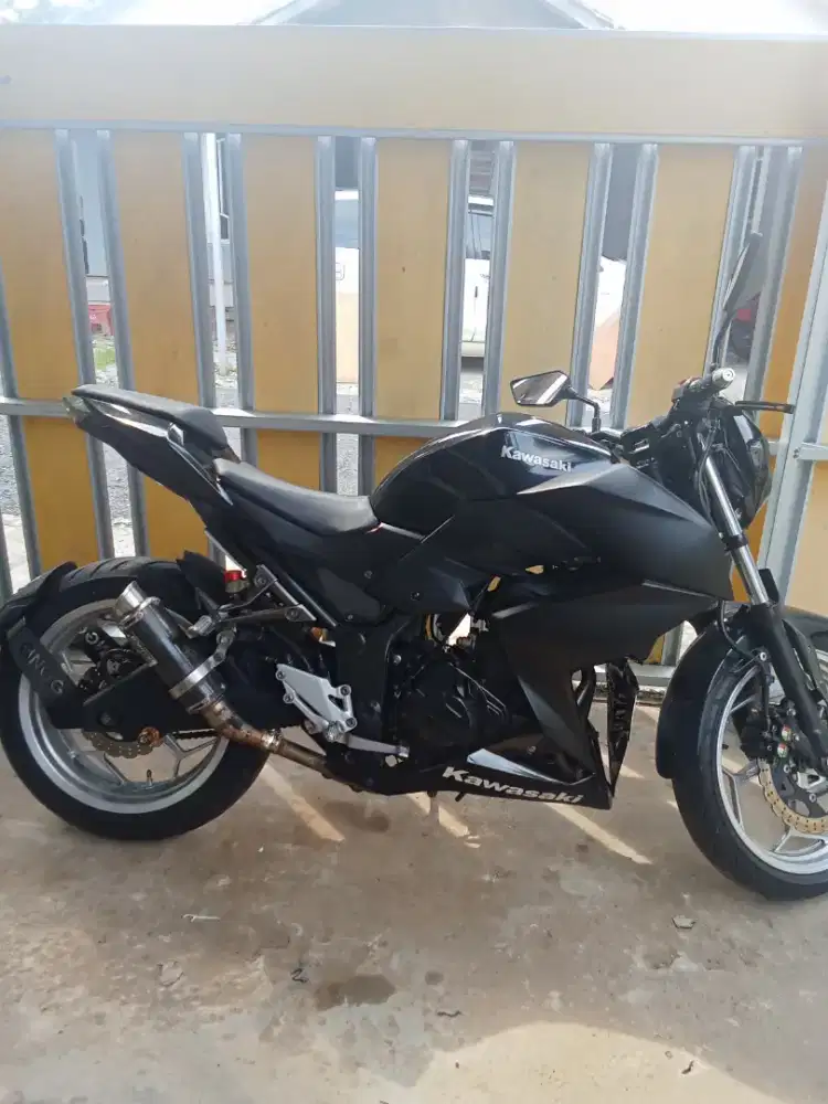 Ninja Z250 warna hirang