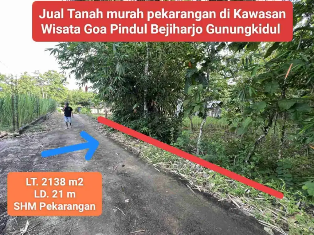Jual Tanah pekarangan murah di kawasan wisata Goa Pindul bejiharjo Karangmojo Gunung kidul