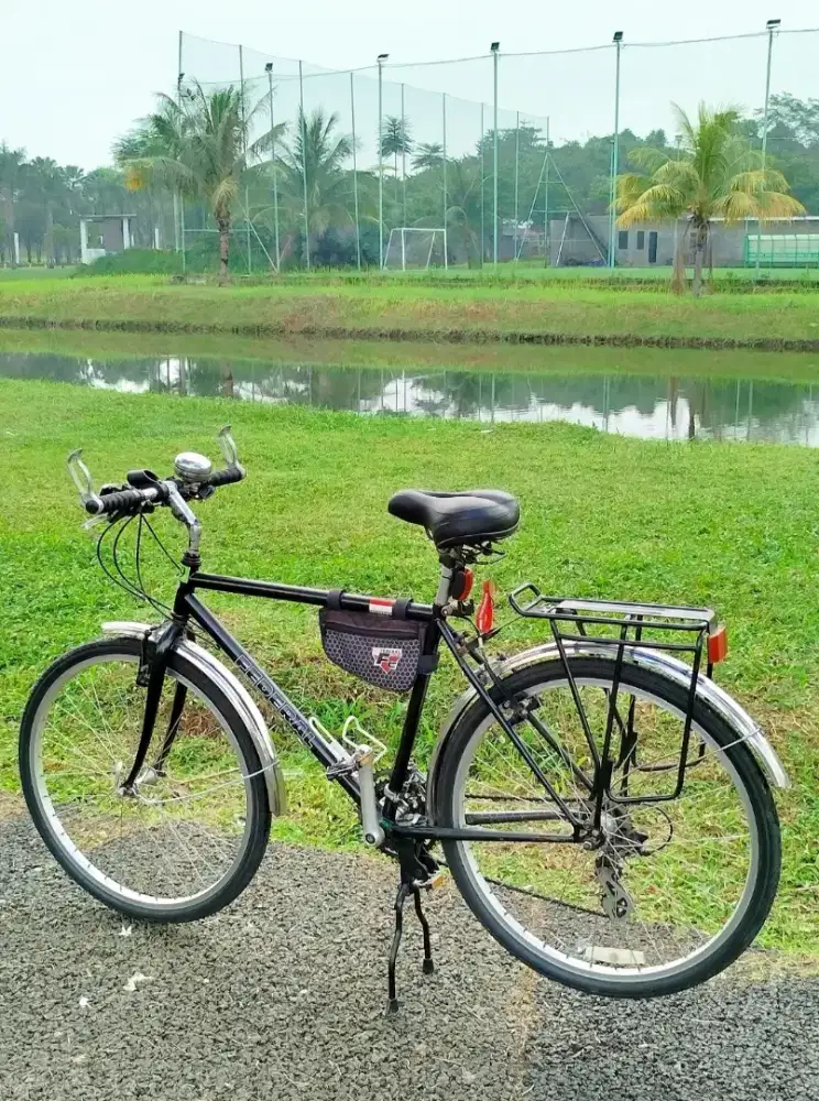 Sepeda Federal Streetcat FC3xx