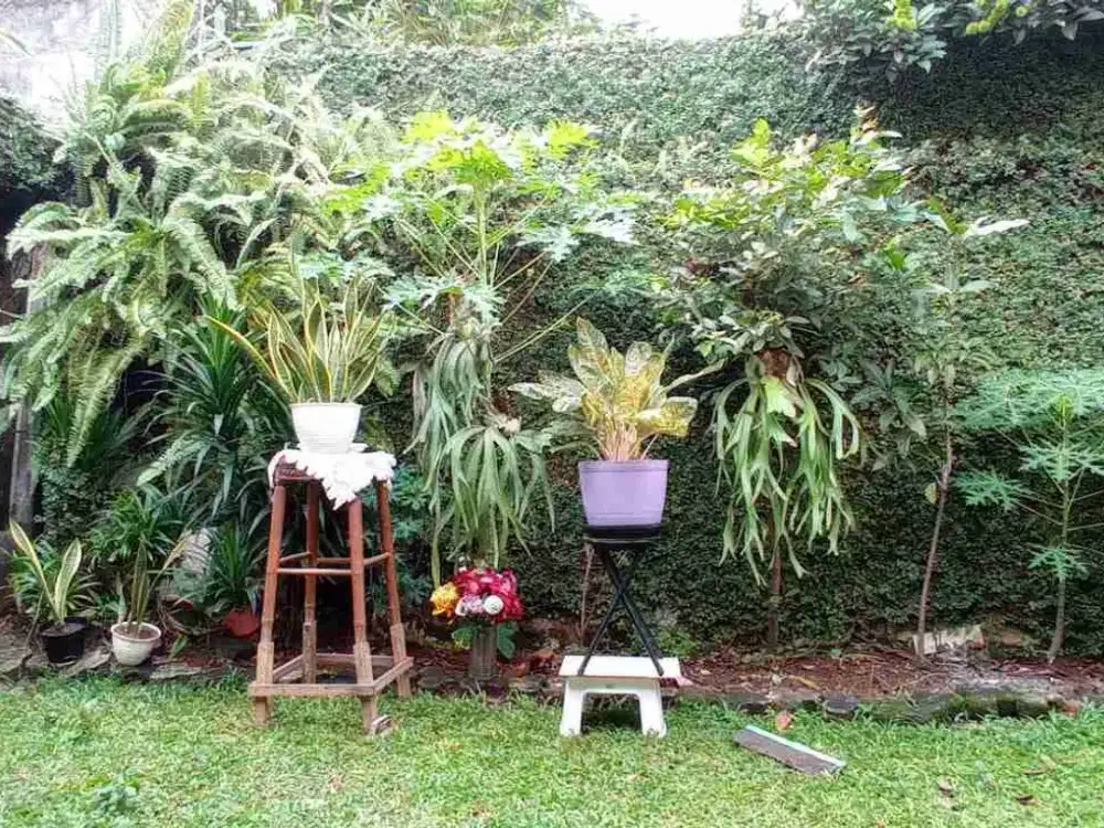 Dijual Cepat Rumah 1 lantai