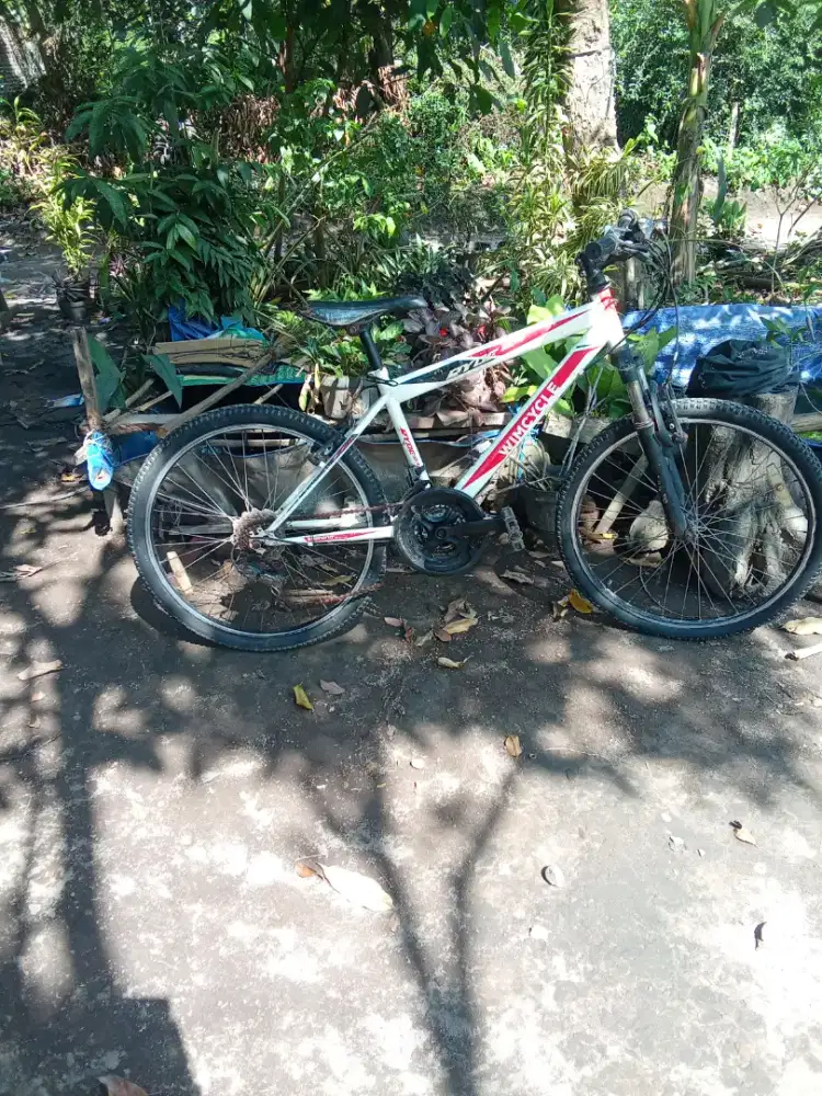 Sepeda MTB 24 wimcicle siap pakai