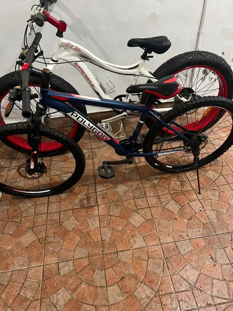 sepeda polygon dan sepeda wimcyle