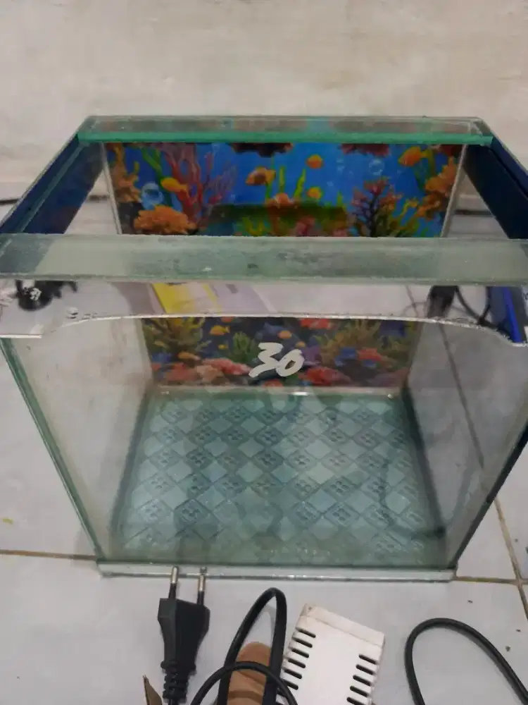 Set Aquarium kecil