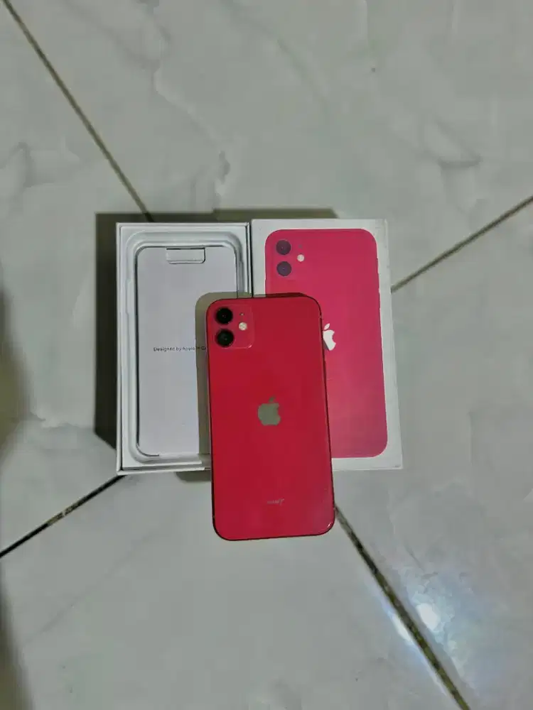 Ip 11 Beacukaiii