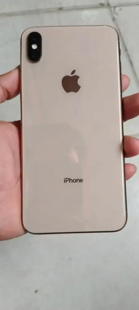 Xs Max 256gb gold