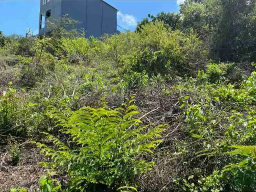 Dijual Tanah 2 Are Jimbaran Kuta Bali Dekat GWK Nusa Dua Uluwatu