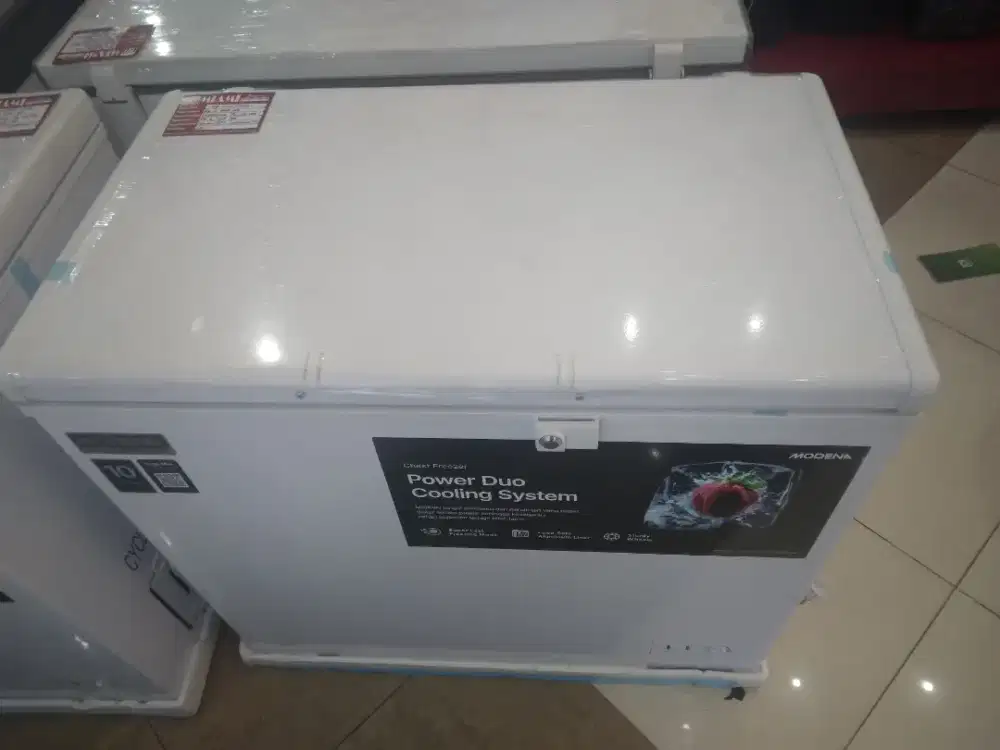 Freezer Box MODENA 300L