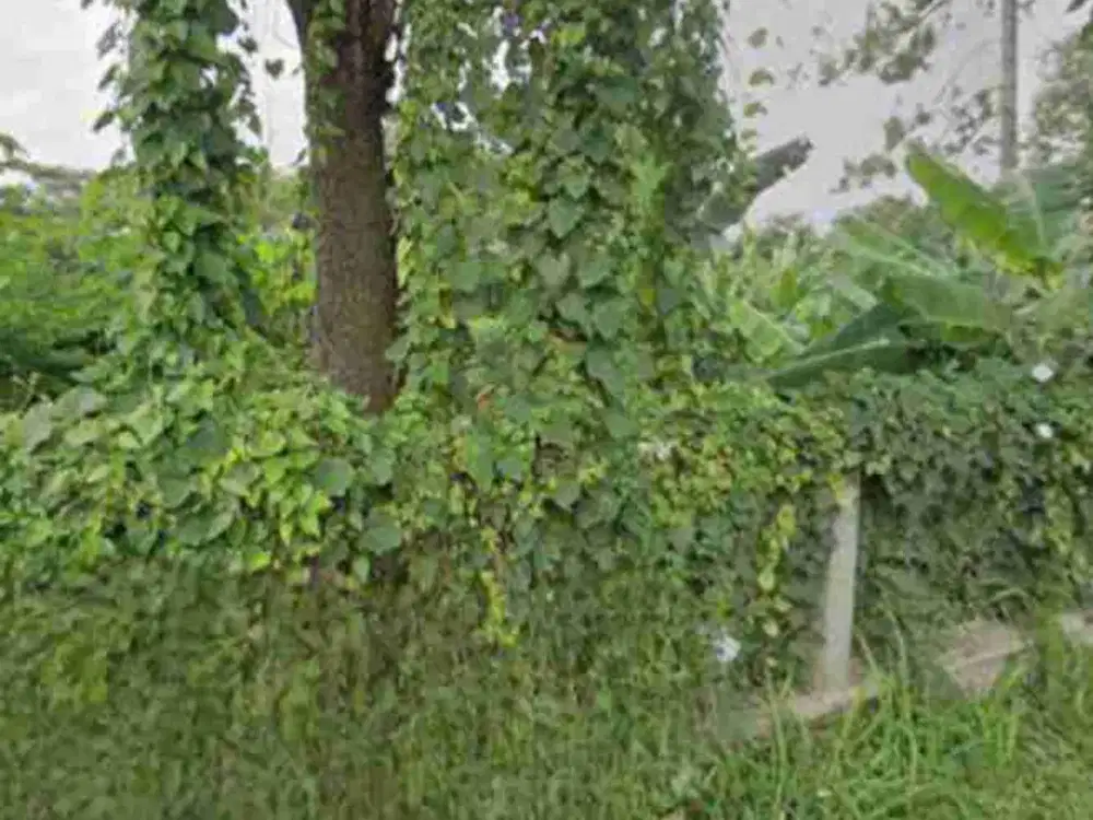 Dijual Cepat Tanah Kosong di Bukit Raya Ciumbuleuit Bandung
