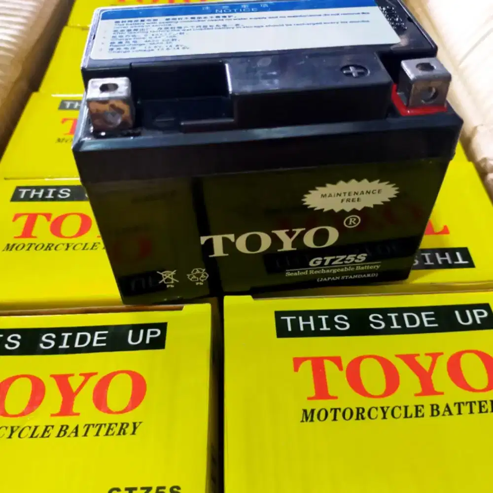 Aki Toyo GTZ-5S