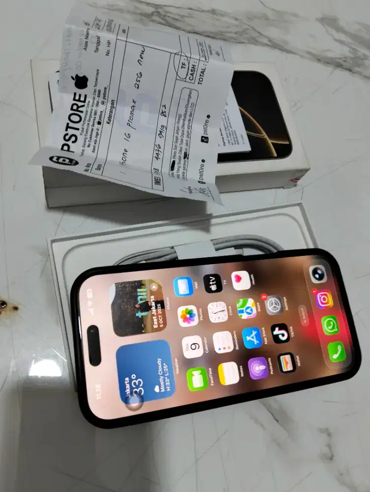 16 Promax 256gb Natural Titanium Resmi