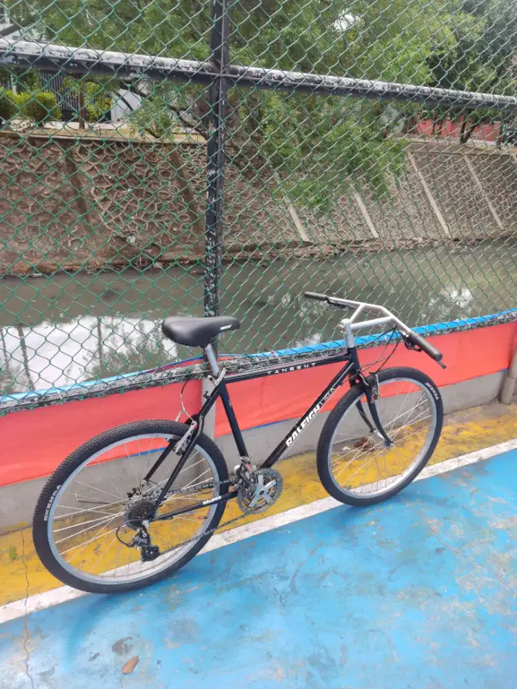 Sepeda Commuter bike