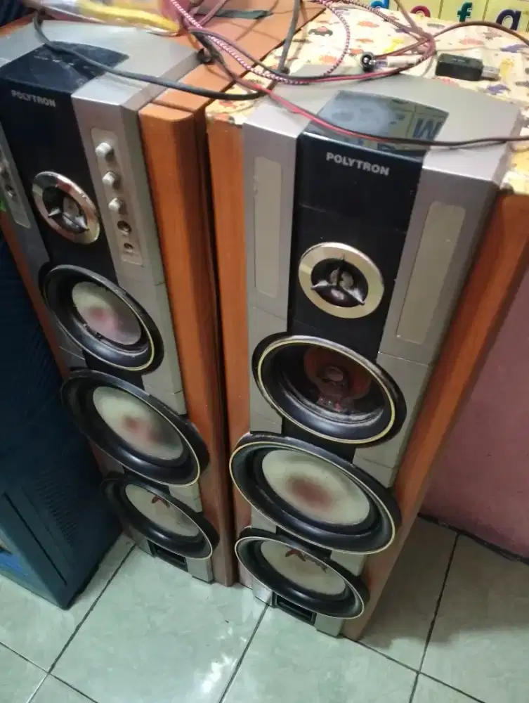 speaker polytron