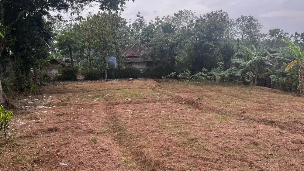 Dijual Tanah Murah