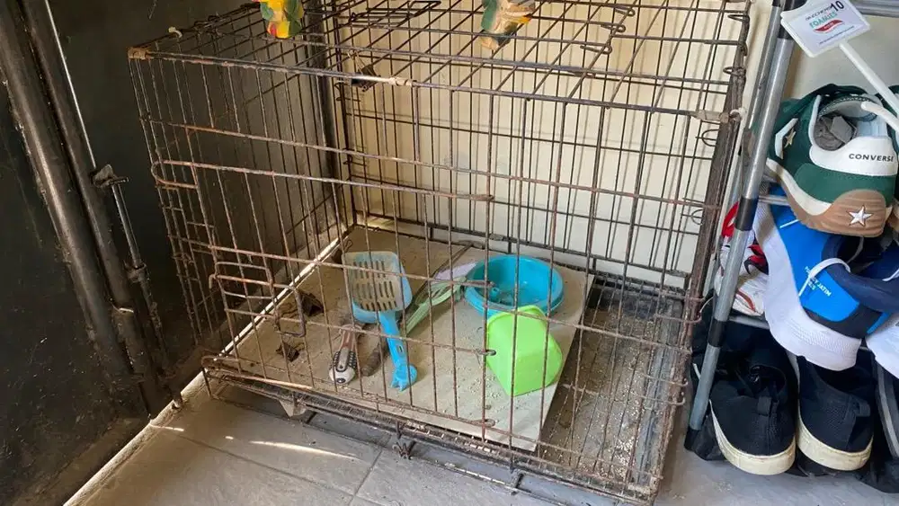 Kandang kucing bekas