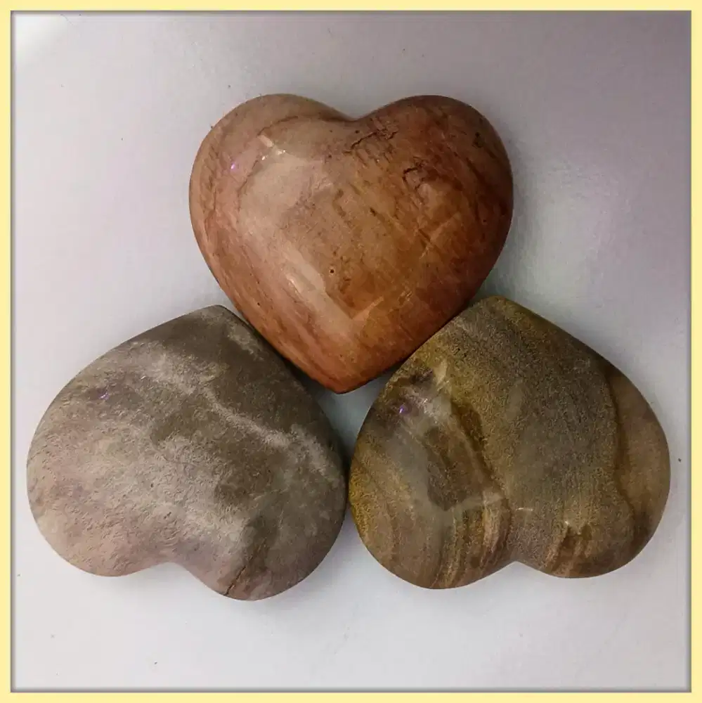 Untuk Hiasan (Natural)