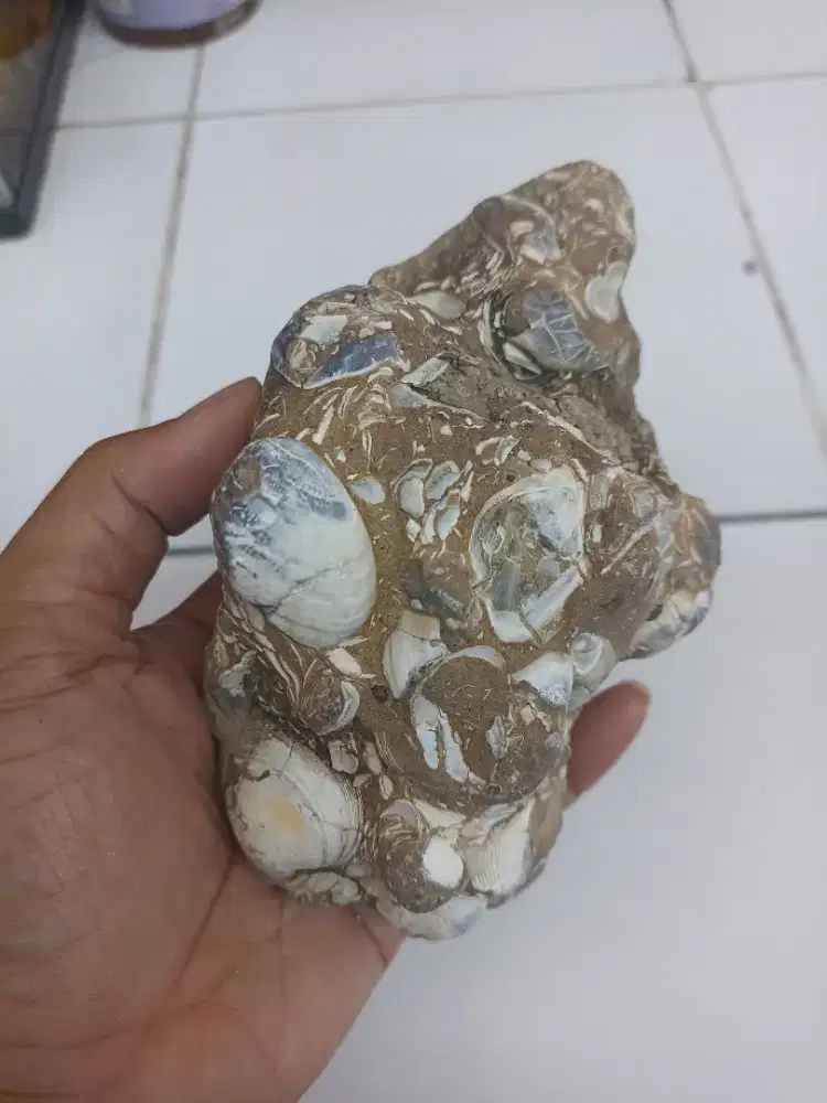 F@sil Natural (Hiasan)