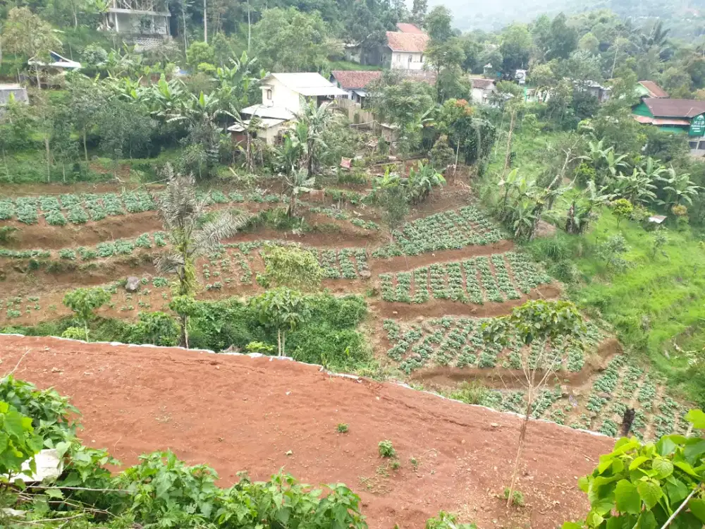 Jual Rumah dan Tanah Kebon ( 3 juta / Tumbak )