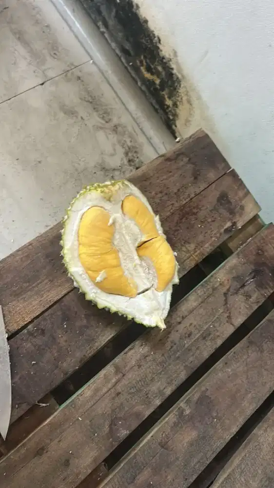 Durian import musang king