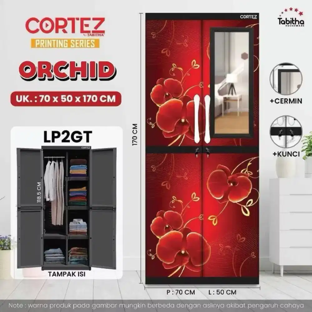 LEMARI CORTEZ ORCHID