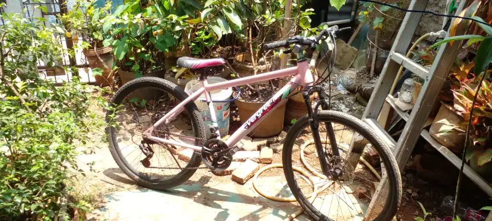 Sepeda MTB everygreen