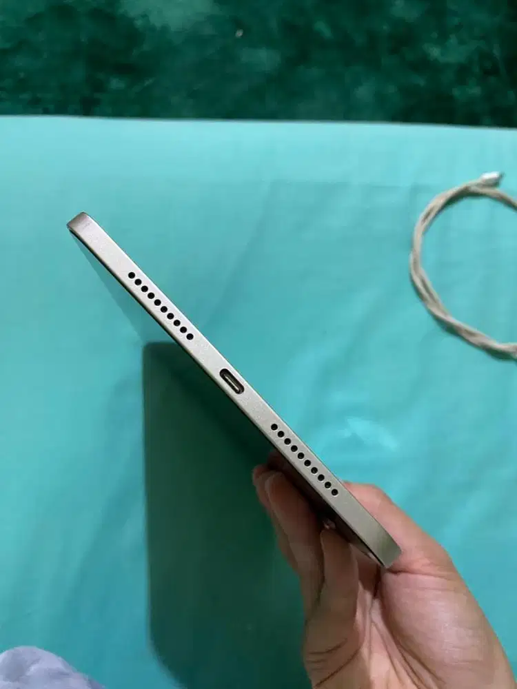 Ipad mini 6 gold