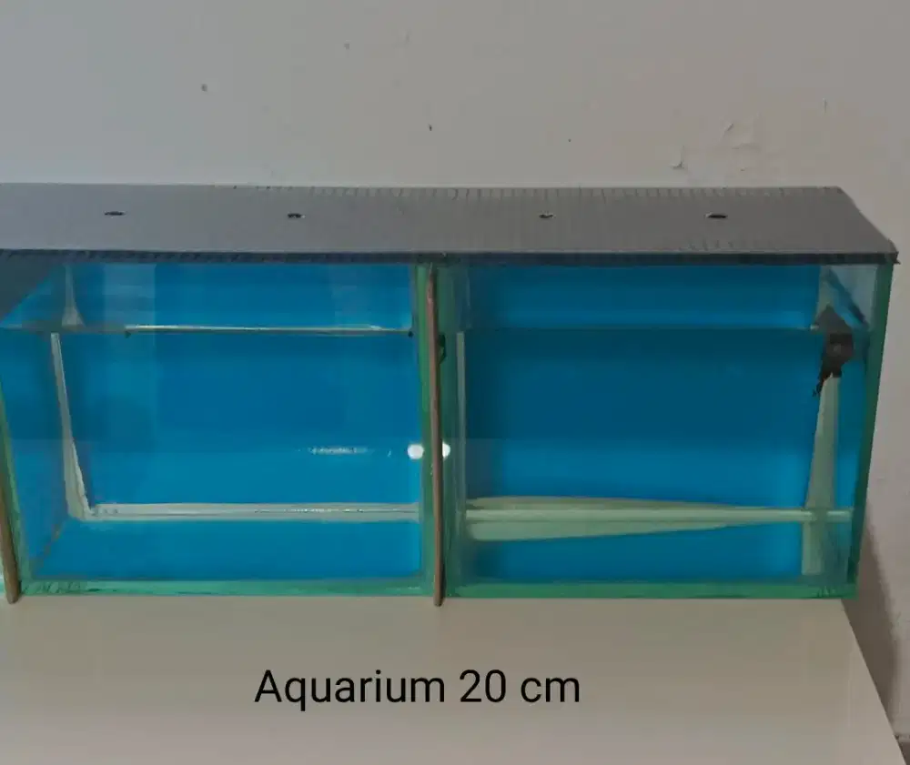 Jual Cpt :  2 unit Aquarium 20 cm
Kondisi Mulus kaya baru