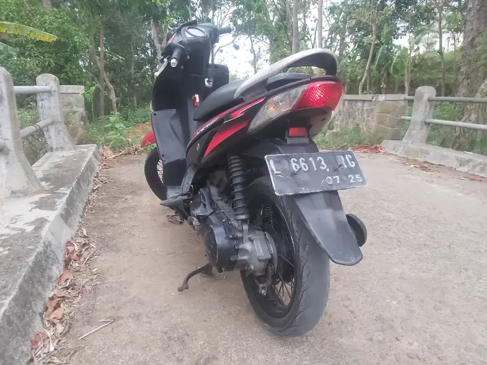 Vario 2007 jos gandos