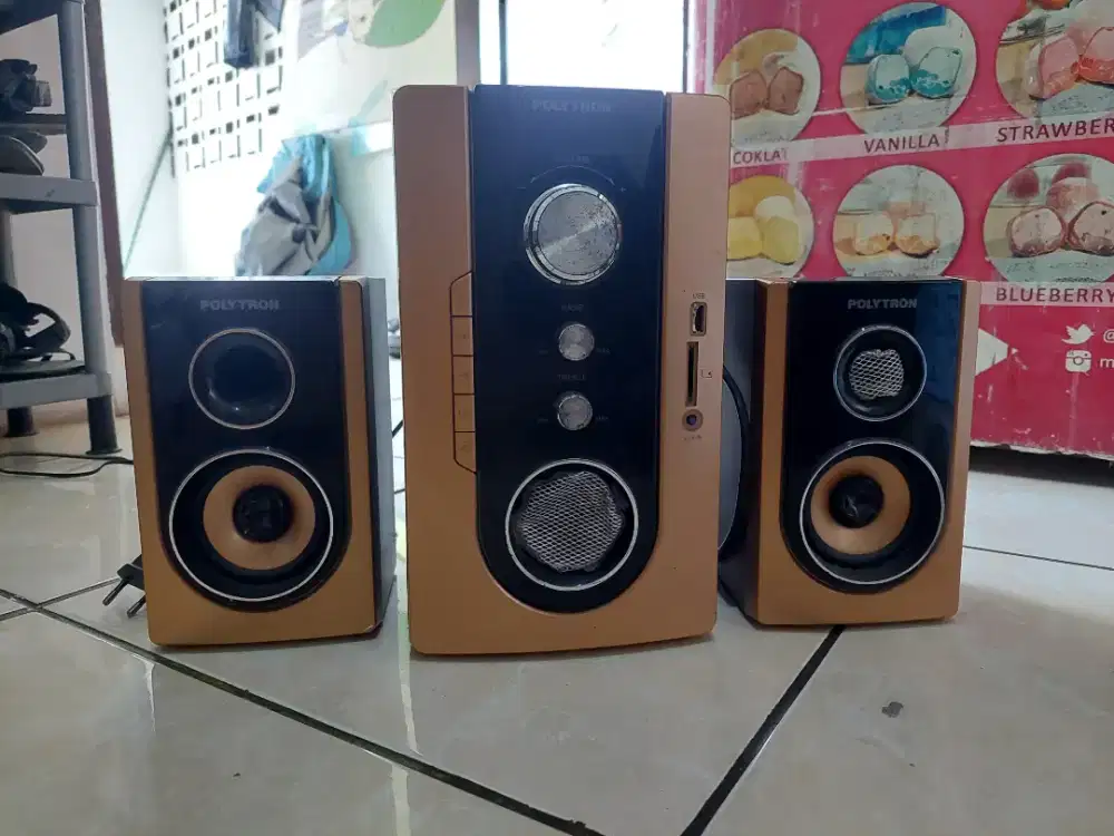 Speaker polytron pma9300