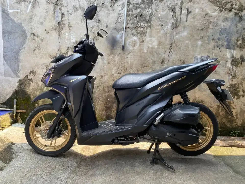 Motor vario 150 mulus