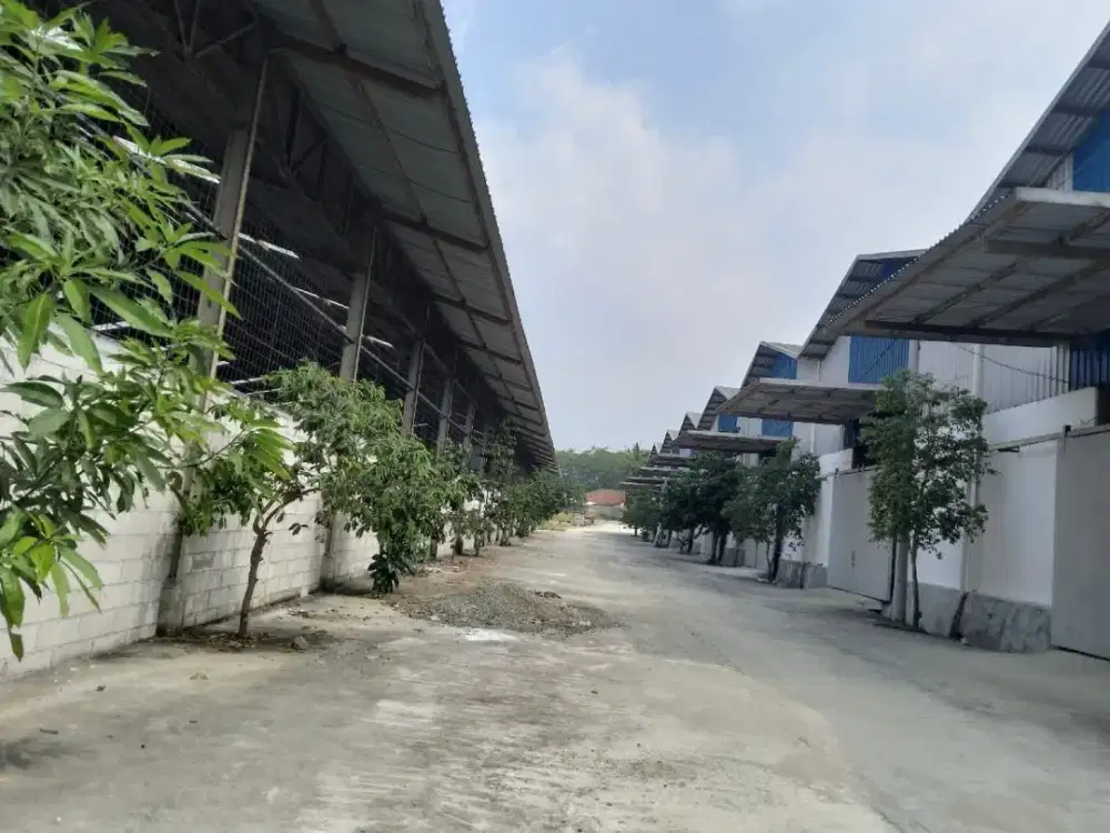 Disewakan Gudang  Berlokasi Strategis di Jonggol – Pinggir Jalan Utama!