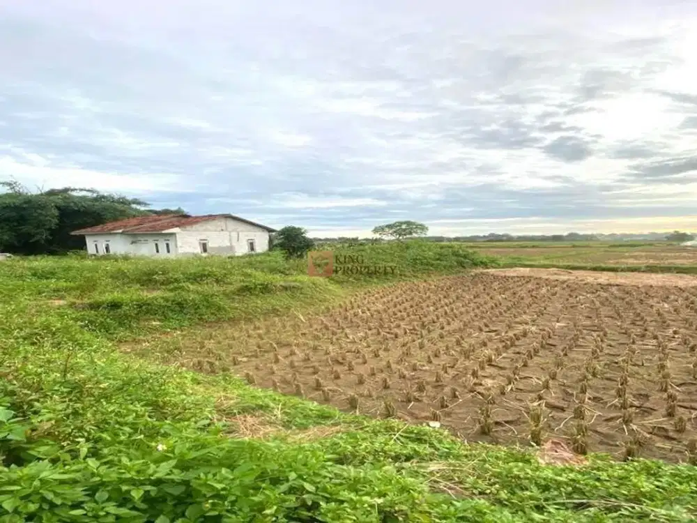 Dijual Tanah Padat Sawah 935 m2 Hadap Timur di Legok Tangerang Banten