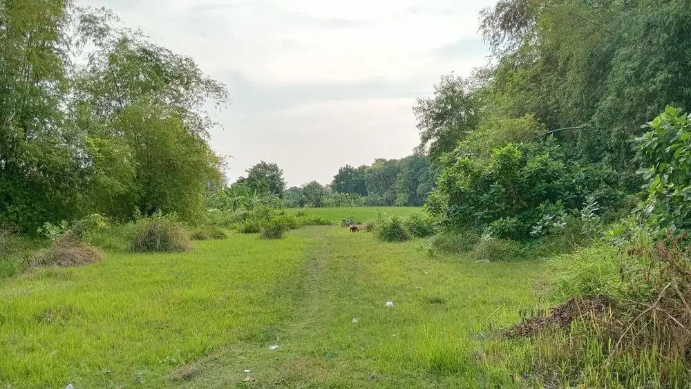 Jual Tanah SHM area Tuban