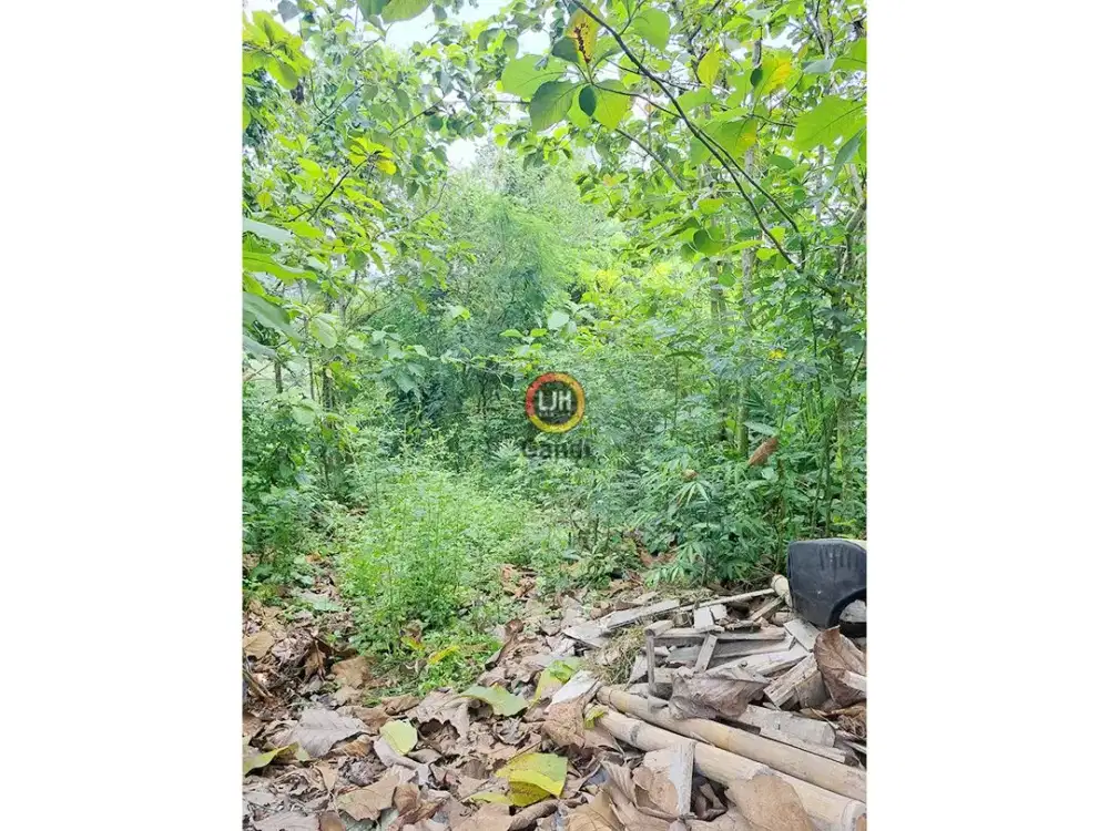 Kavling di Pawiyatan Luhur Selatan Semarang