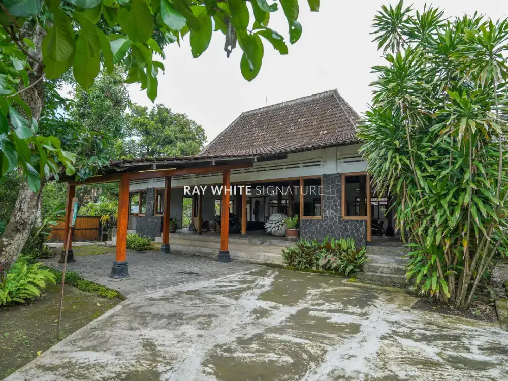 Dijual Homestay Di Jl Raya Solo Dekat Candi Sari Yogyakarta