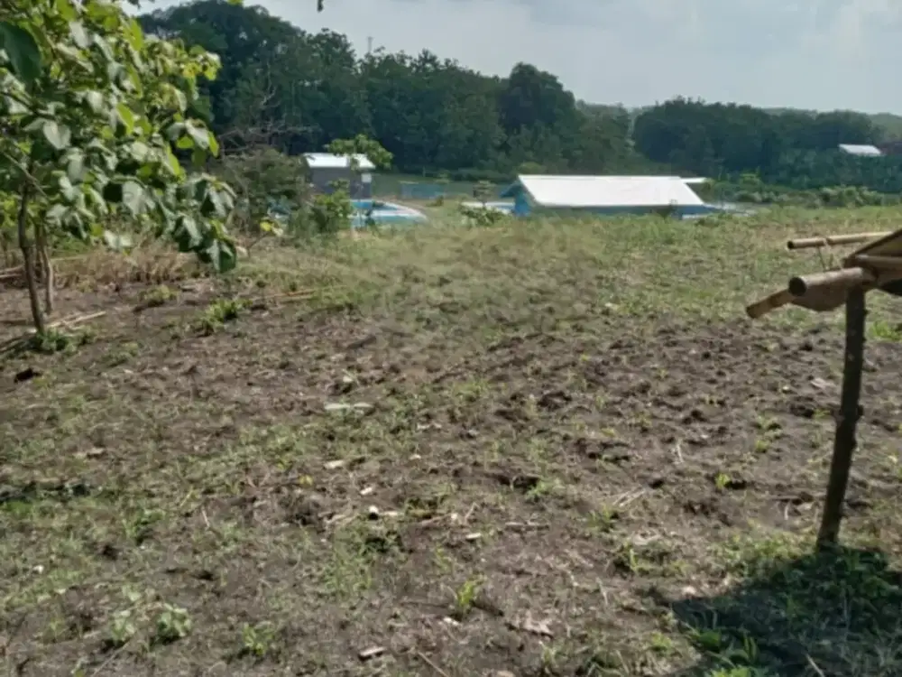 Dijual Lahan Zona Industri Strategis Tangen,Sragen Luas 41 Hektar