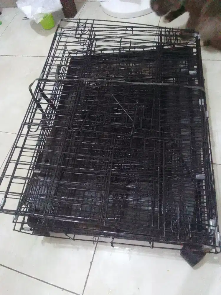 Kandang besi tingkat