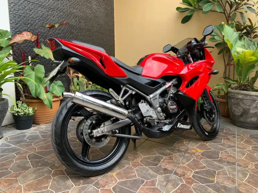 Ninja RR th 2013
