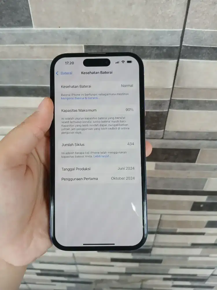 Iphone 15 128gb bli bli resmi