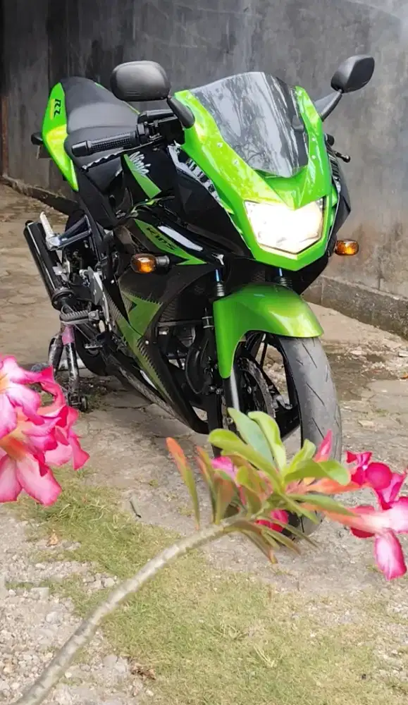 Ninja RR New 2014