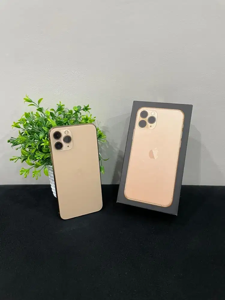 IPhone 11 Pro 256GB Gold mulus Fullset BH 100% Sinyal Permanent