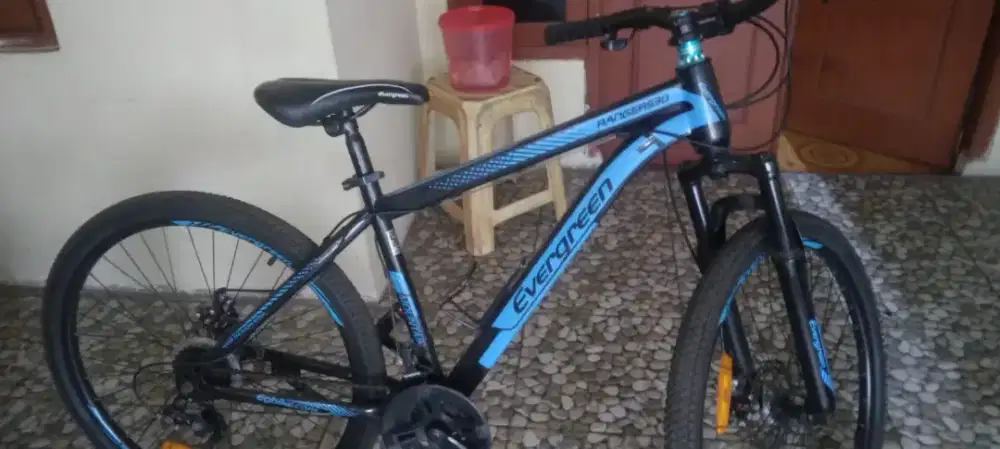 Sepeda dewasa gowes okk