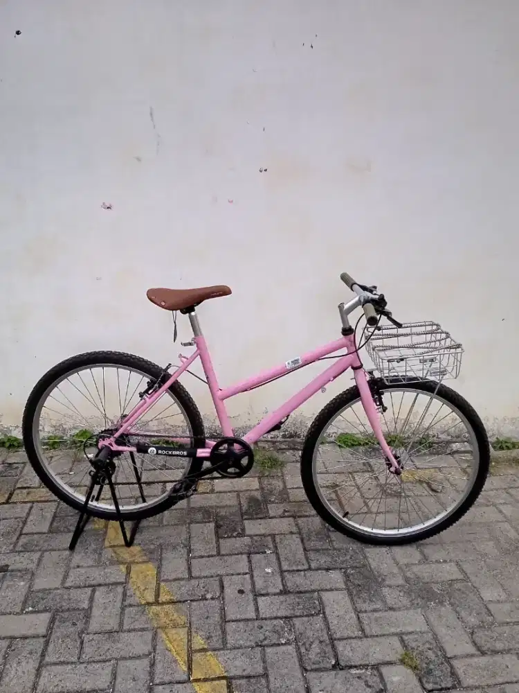 Commuter bike lady